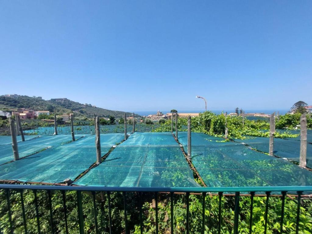 Il Pozzillo Maison Massa Lubrense Luaran gambar